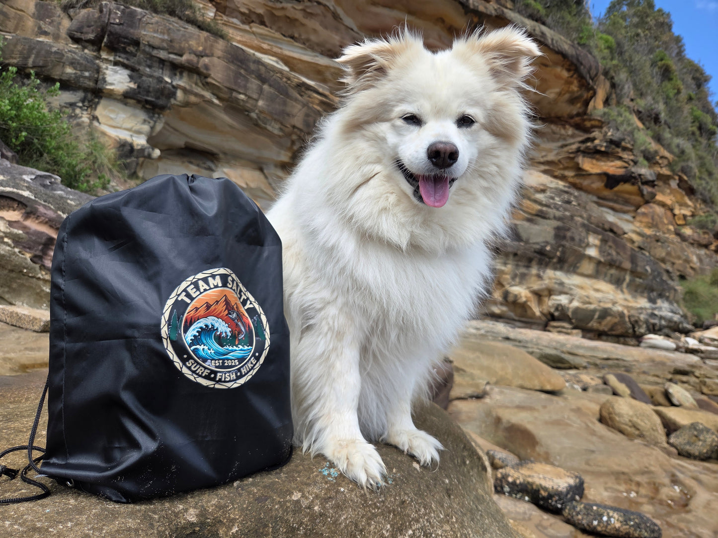 White dog standing on a rocky beach with a black bag featuring a logo next to it.